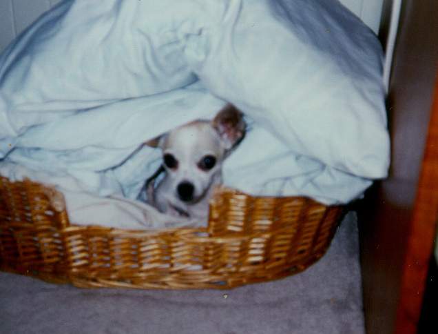 Miss Ipo.