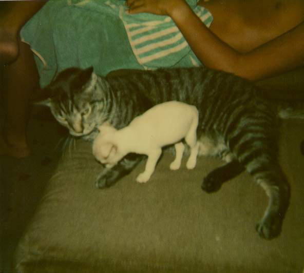 Jimmy & Ipo with Brandon next to them
